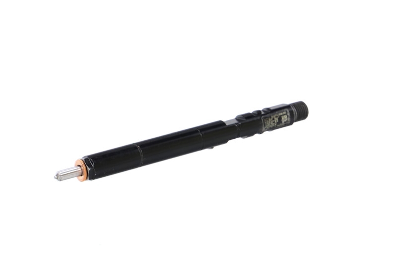 Revisione Iniettore Common Rail DELPHI CR R04201D