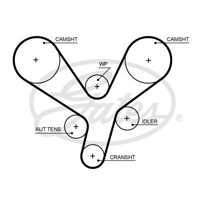 Timing belt