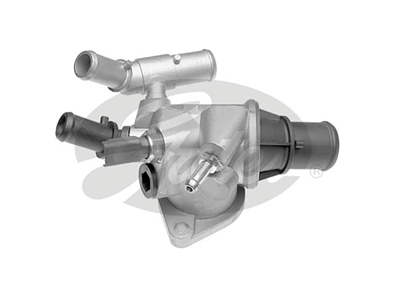 Thermostat, coolant