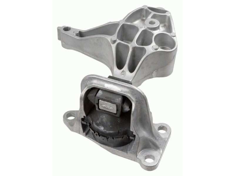 Sospensione, Motore RENAULT: FLUE
