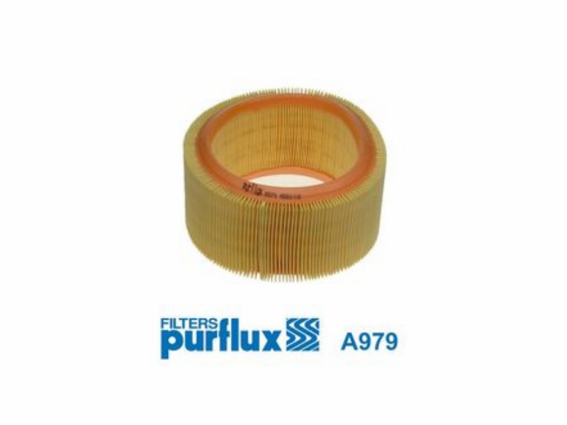 Filtro aria Renault