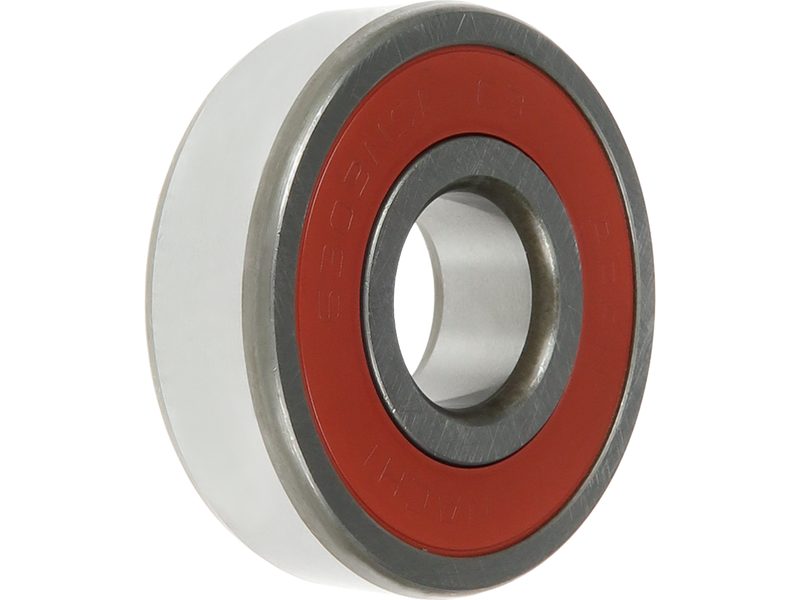 Alternator bearing