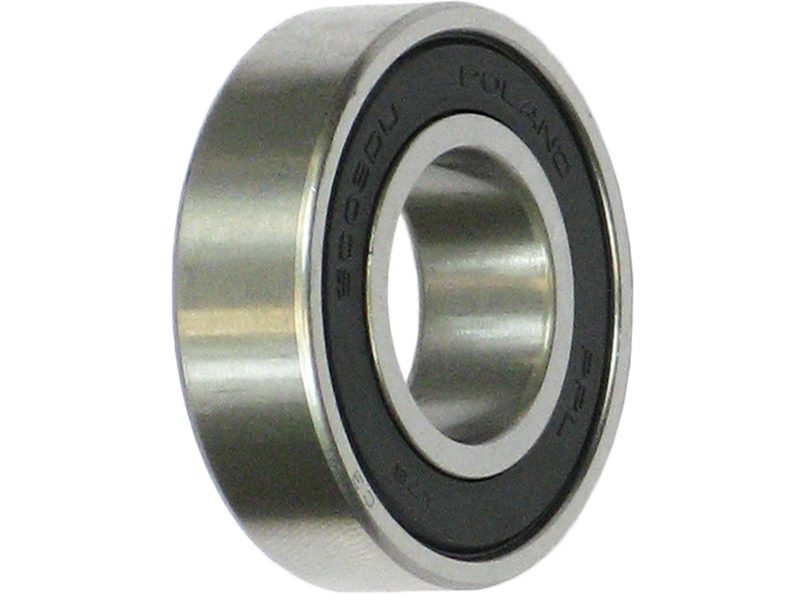 Alternator bearing