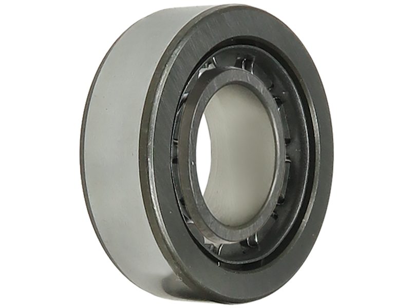 Alternator bearing