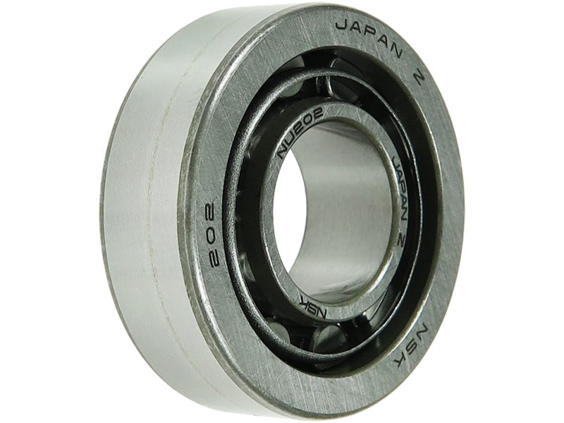 Alternator bearing