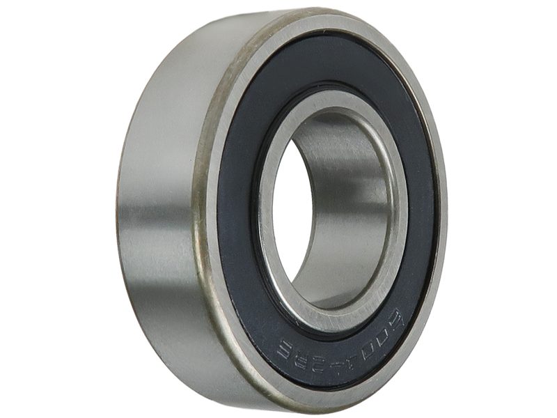 Alternator bearing