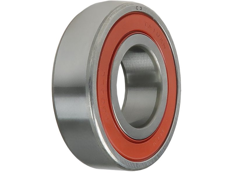 Alternator bearing
