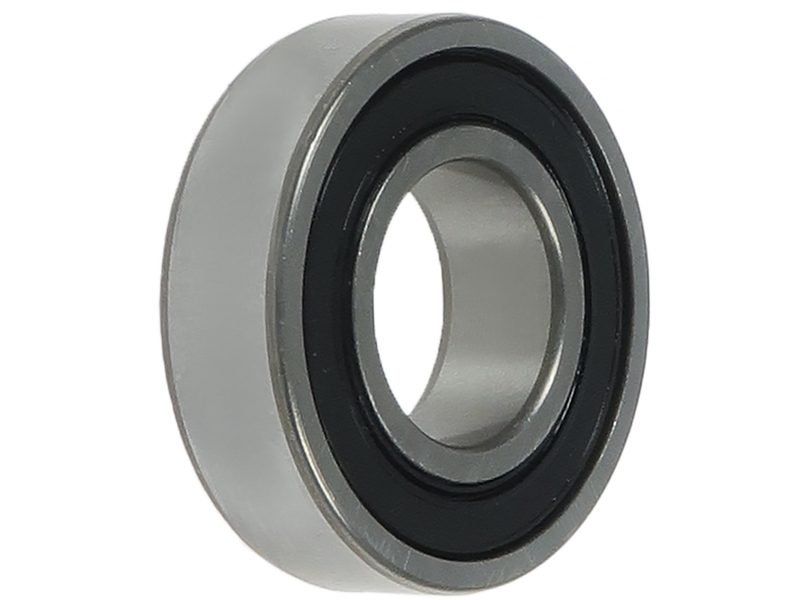 Alternator bearing