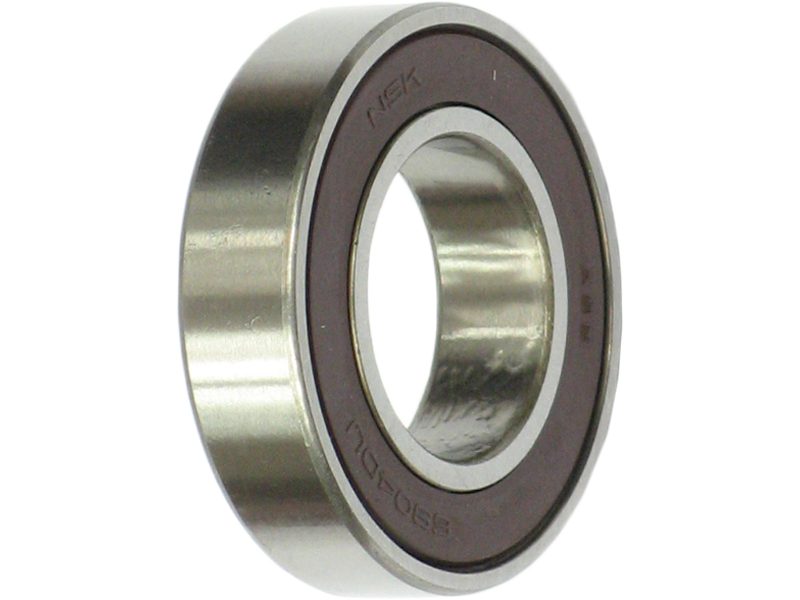 Alternator bearing
