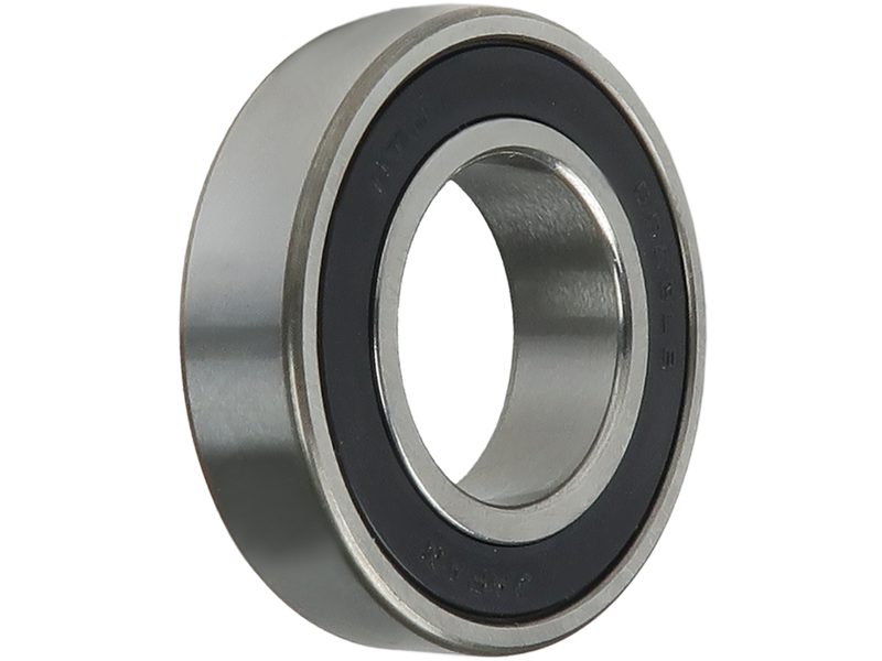 Alternator bearing