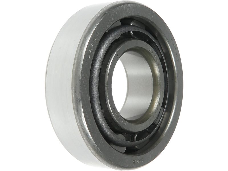 Alternator bearing