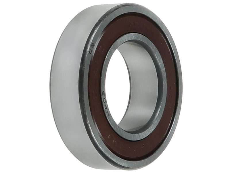 Alternator bearing