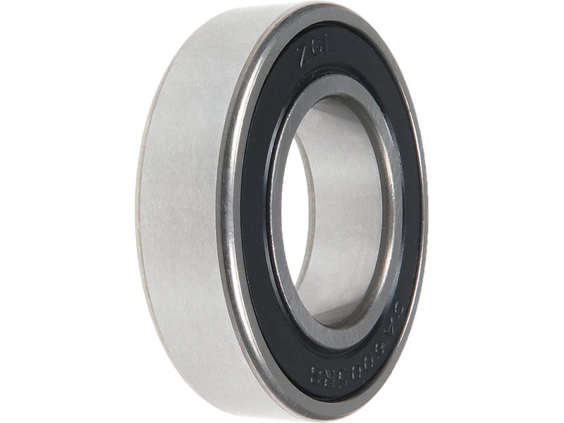 Alternator bearing