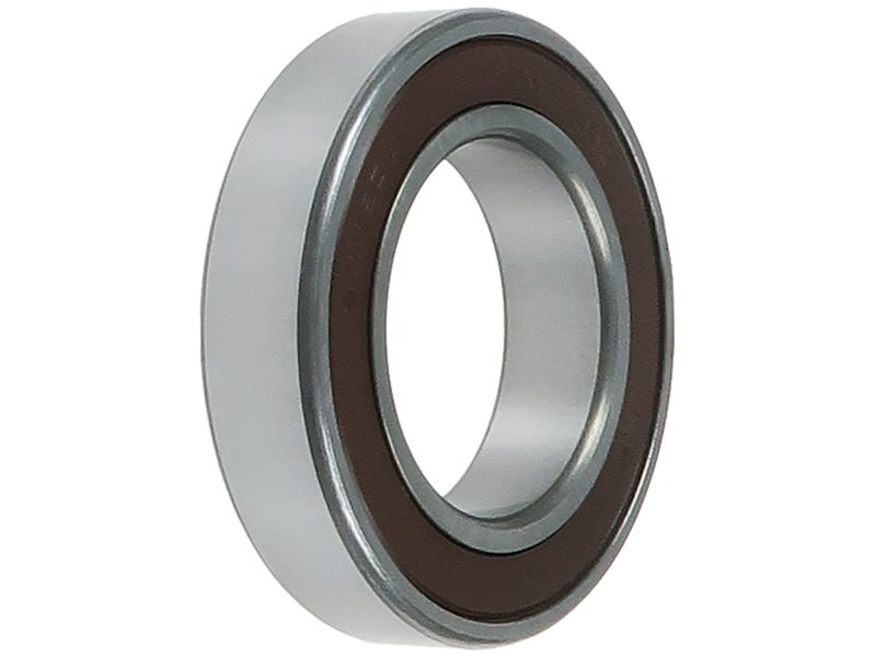Alternator bearing