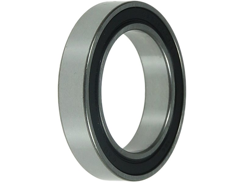 Alternator bearing