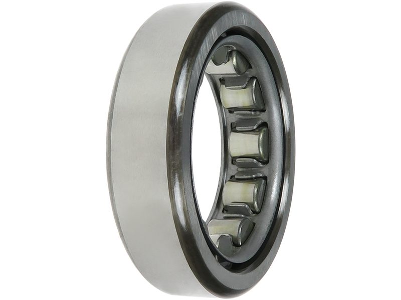 Alternator bearing