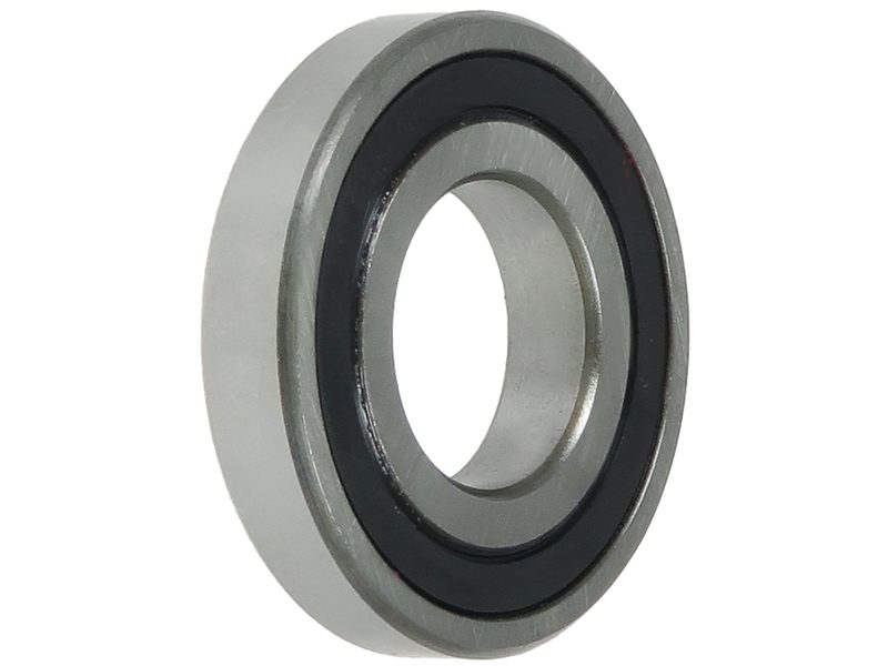Alternator bearing