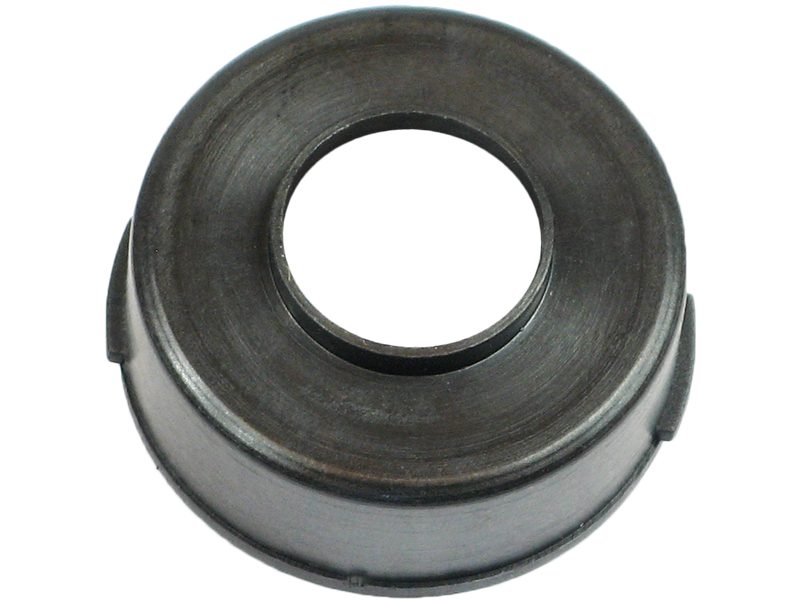 Alternator bearing with protective cap