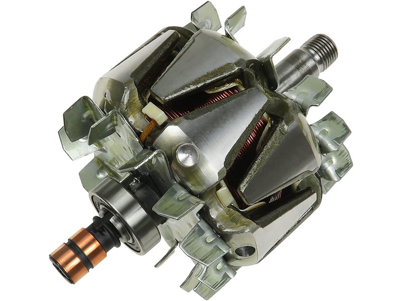 Alternator rotor