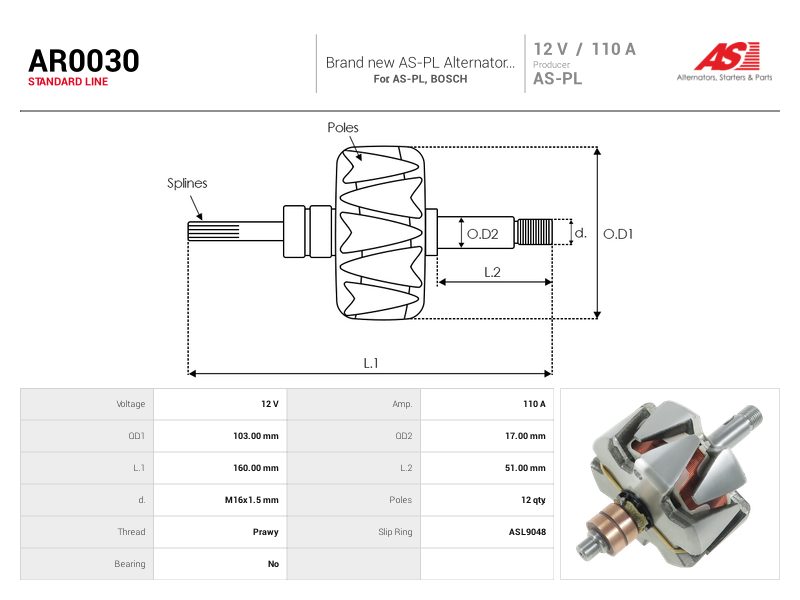 Alternator rotor