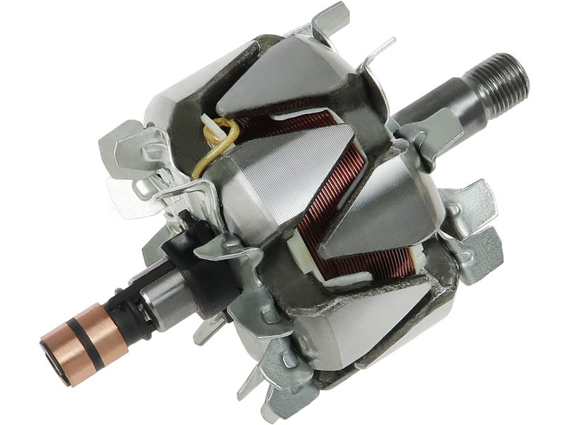 Alternator rotor
