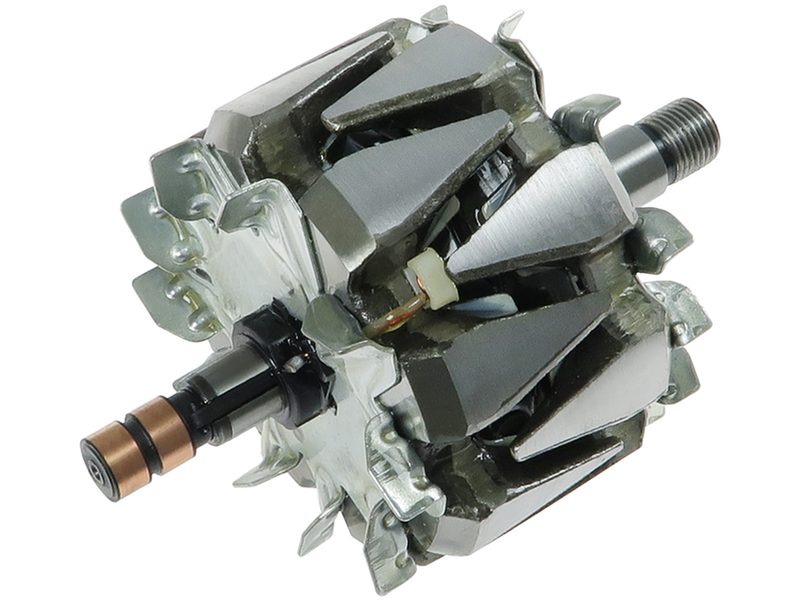 Alternator rotor