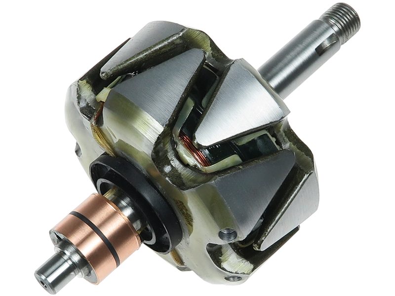Alternator rotor