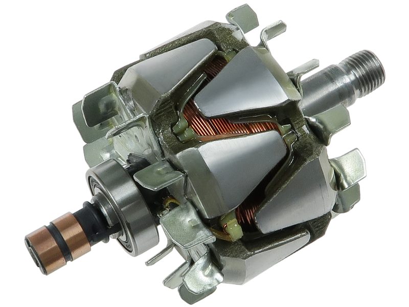 Alternator rotor