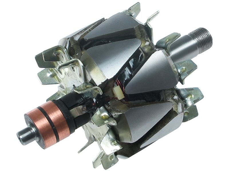 Alternator rotor
