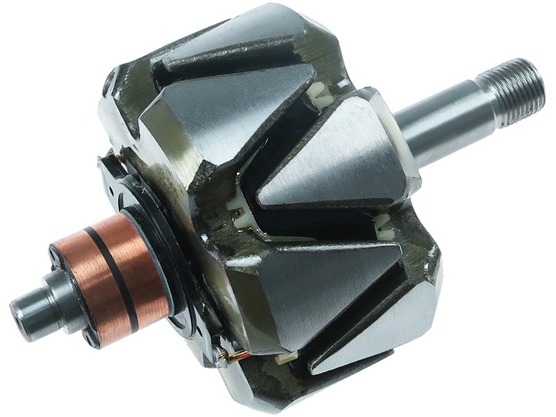 Alternator rotor