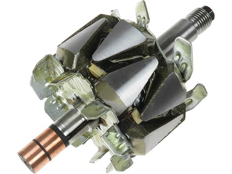 Rotore alternatore
