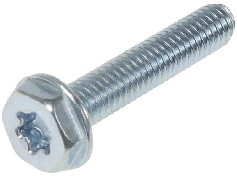 Alternator screw