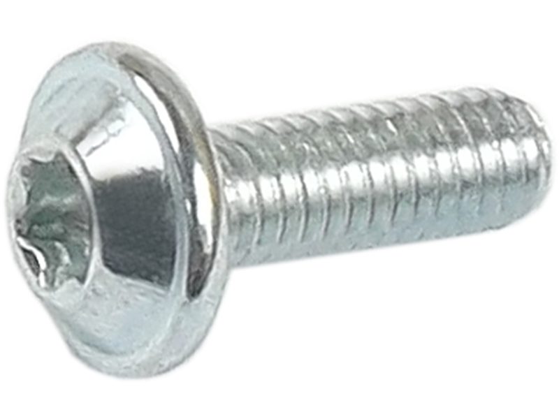 Alternator screw