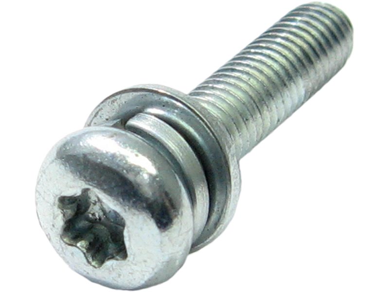 Alternator screw