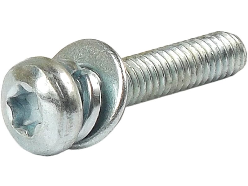 Alternator screw