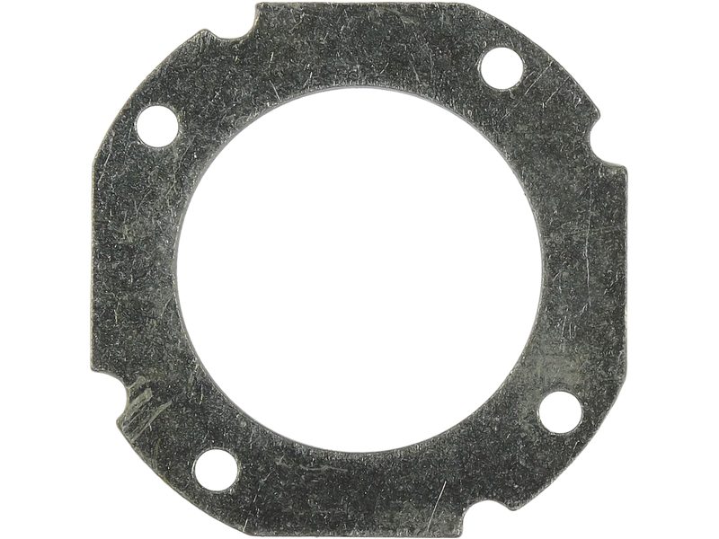 Alternator bearing retaining plate