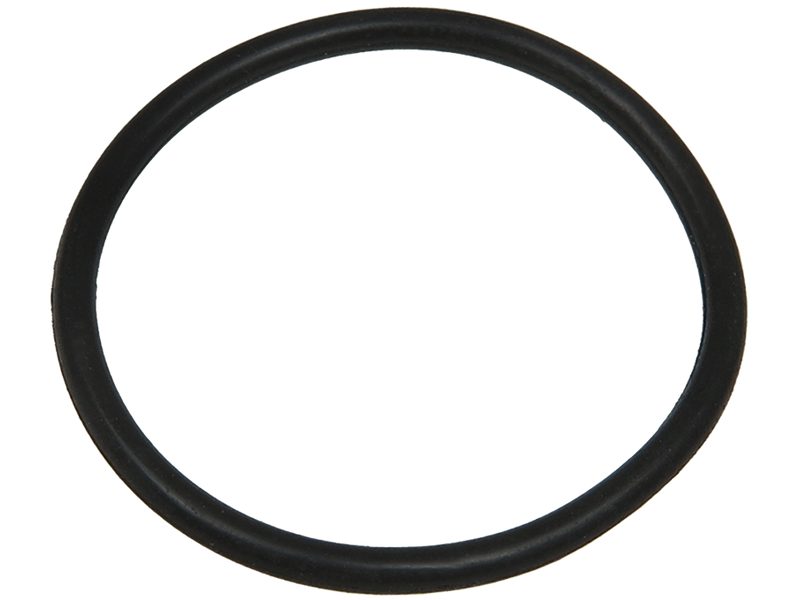 Alternator O-ring