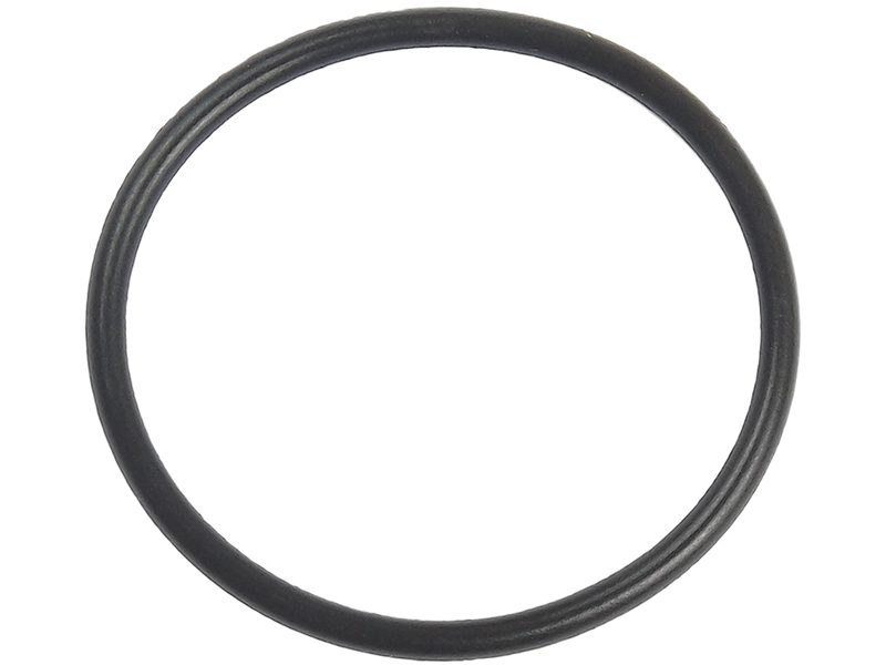 Alternator O-ring