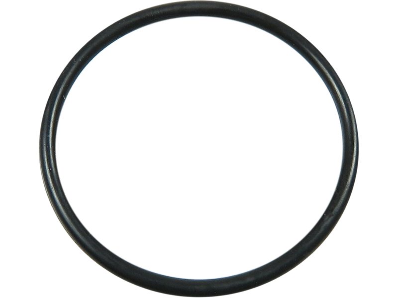 Alternator O-ring
