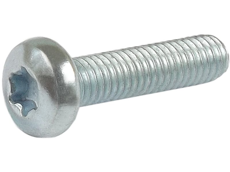 Alternator screw