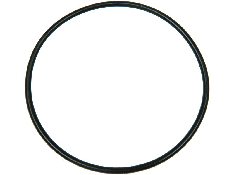 Alternator O-ring