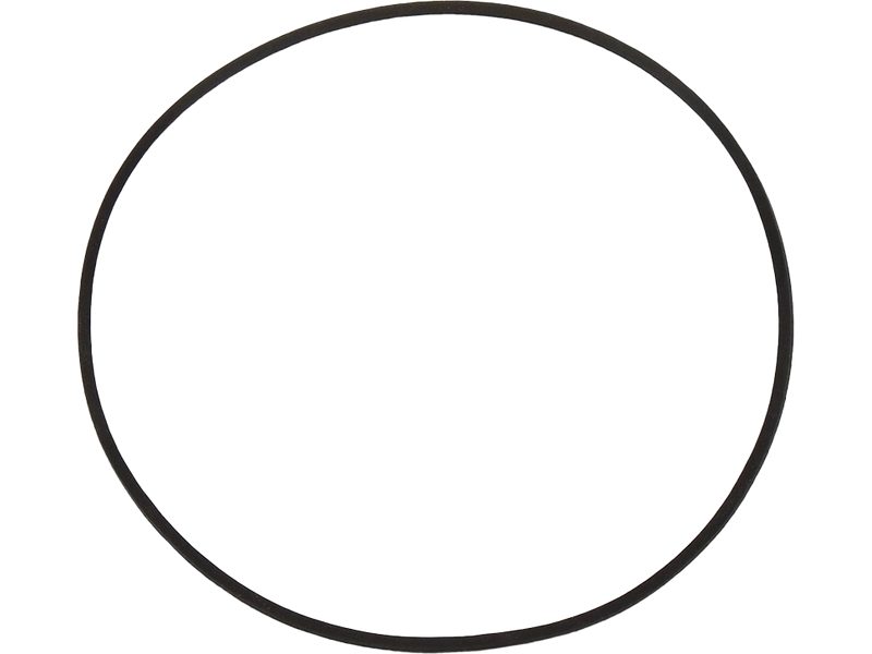 Alternator O-ring