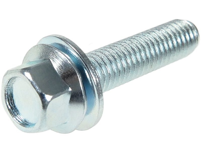 Alternator screw