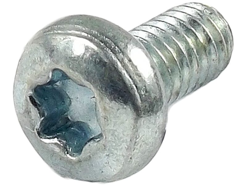 Alternator screw
