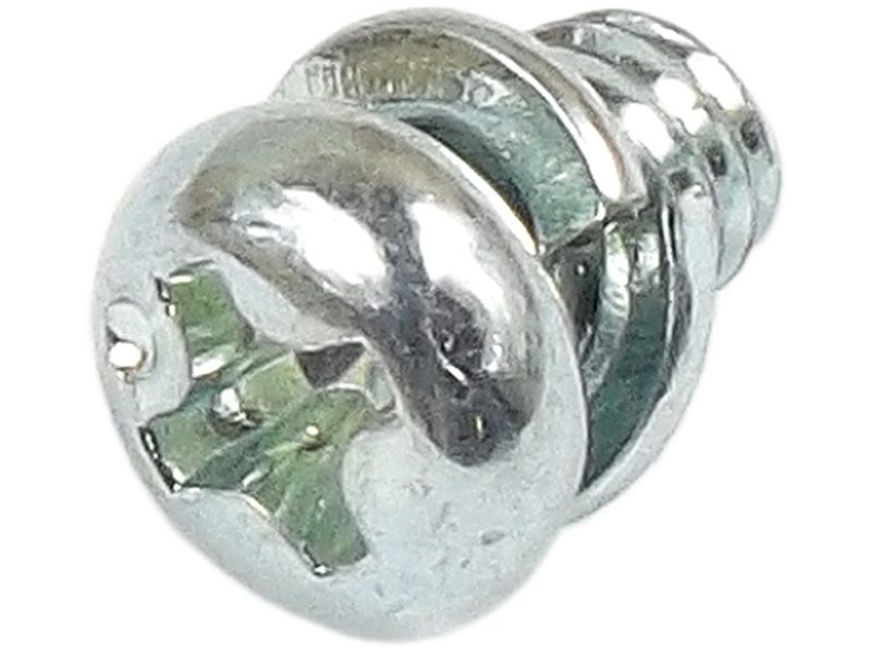 Alternator screw