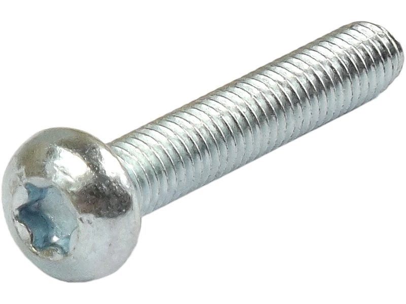 Alternator screw