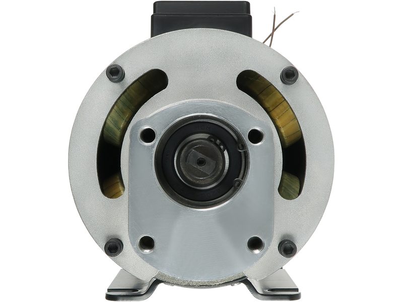 DC electric motor