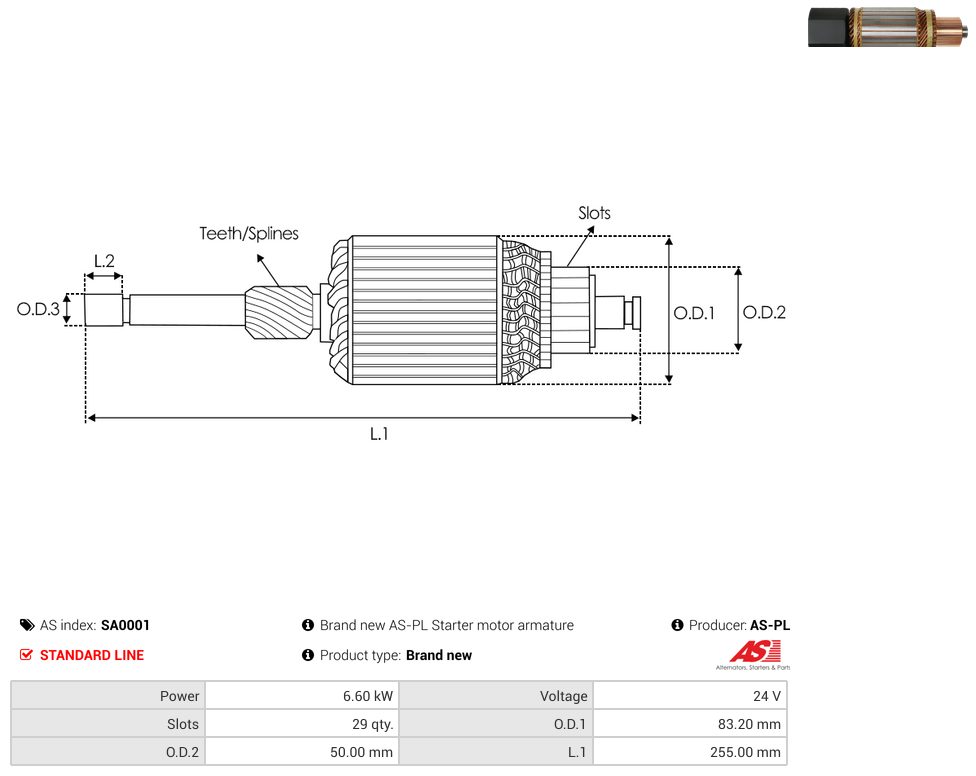 Starter motor armature