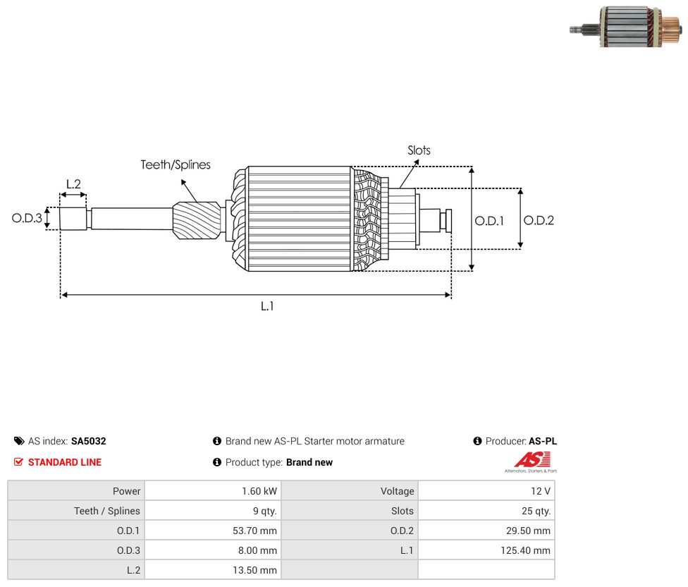 Starter motor armature