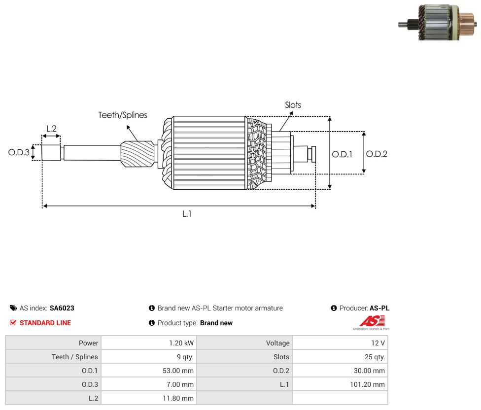 Starter motor armature